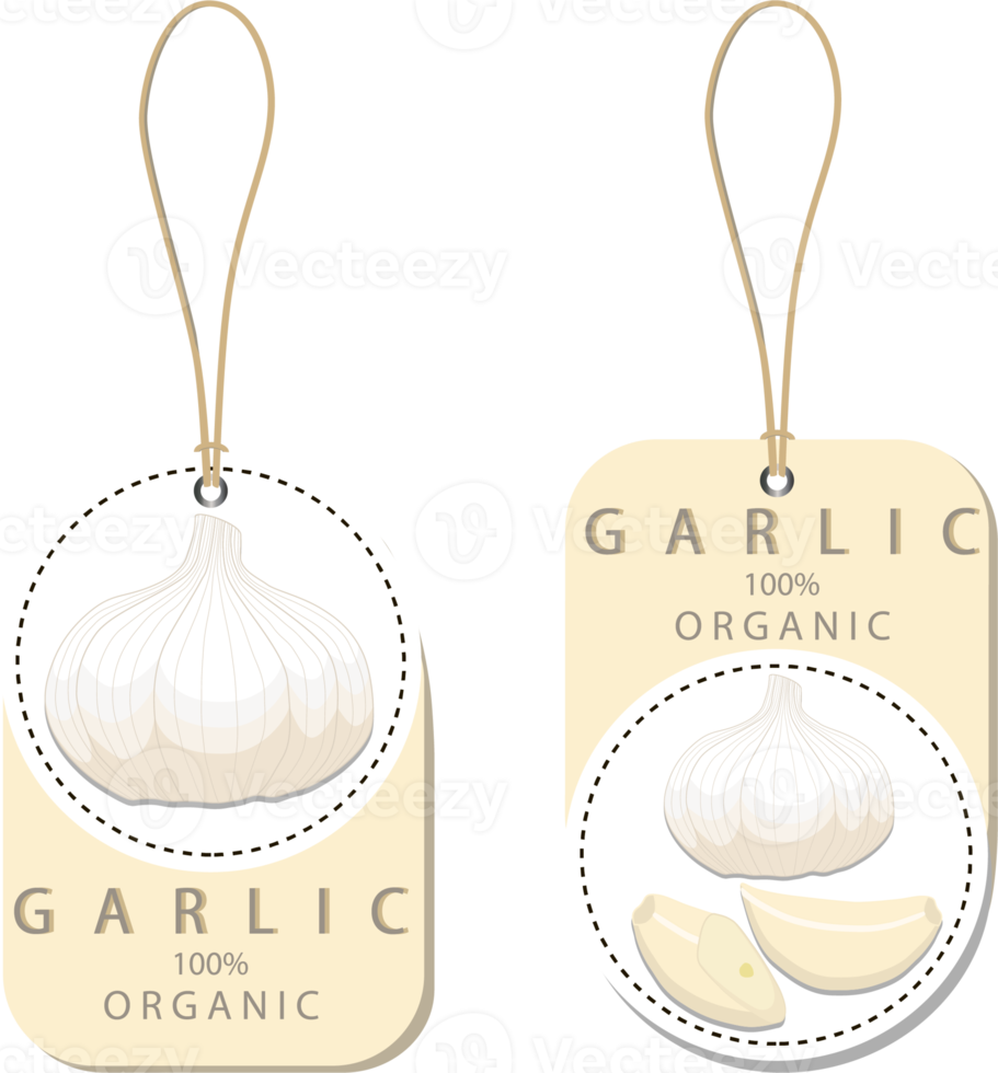 Sweet juicy tasty natural eco product garlic png