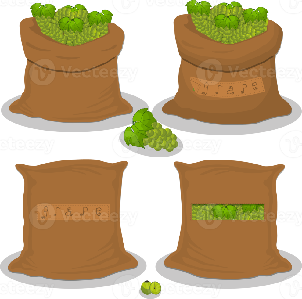 Set of big bags with natural product food 20048542 PNG