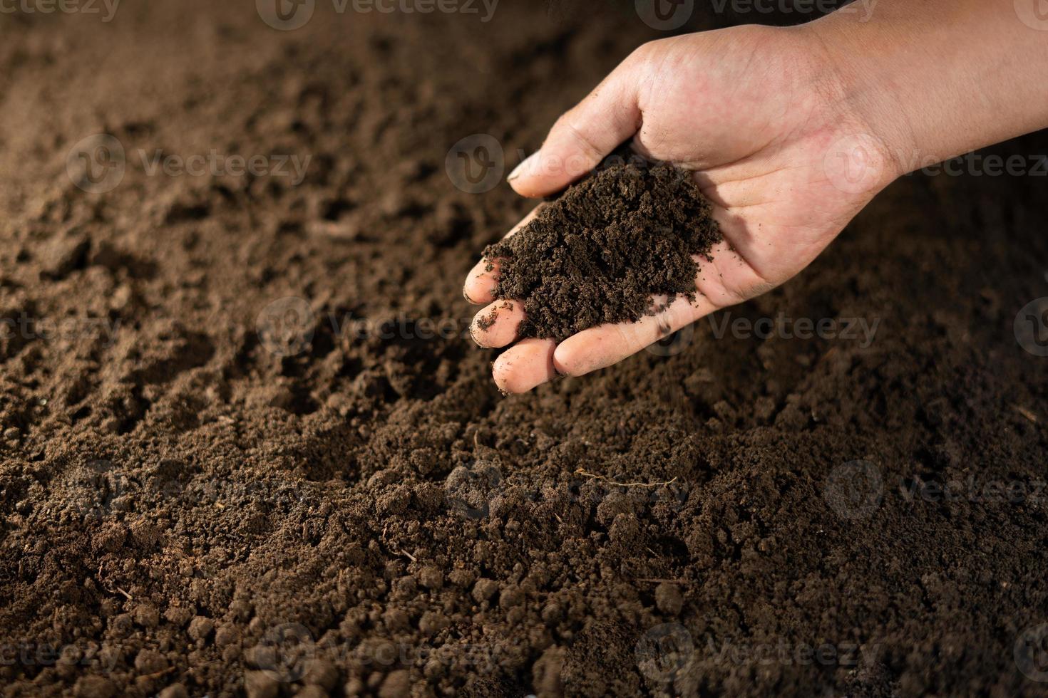 hand showing a soil for environment background photo