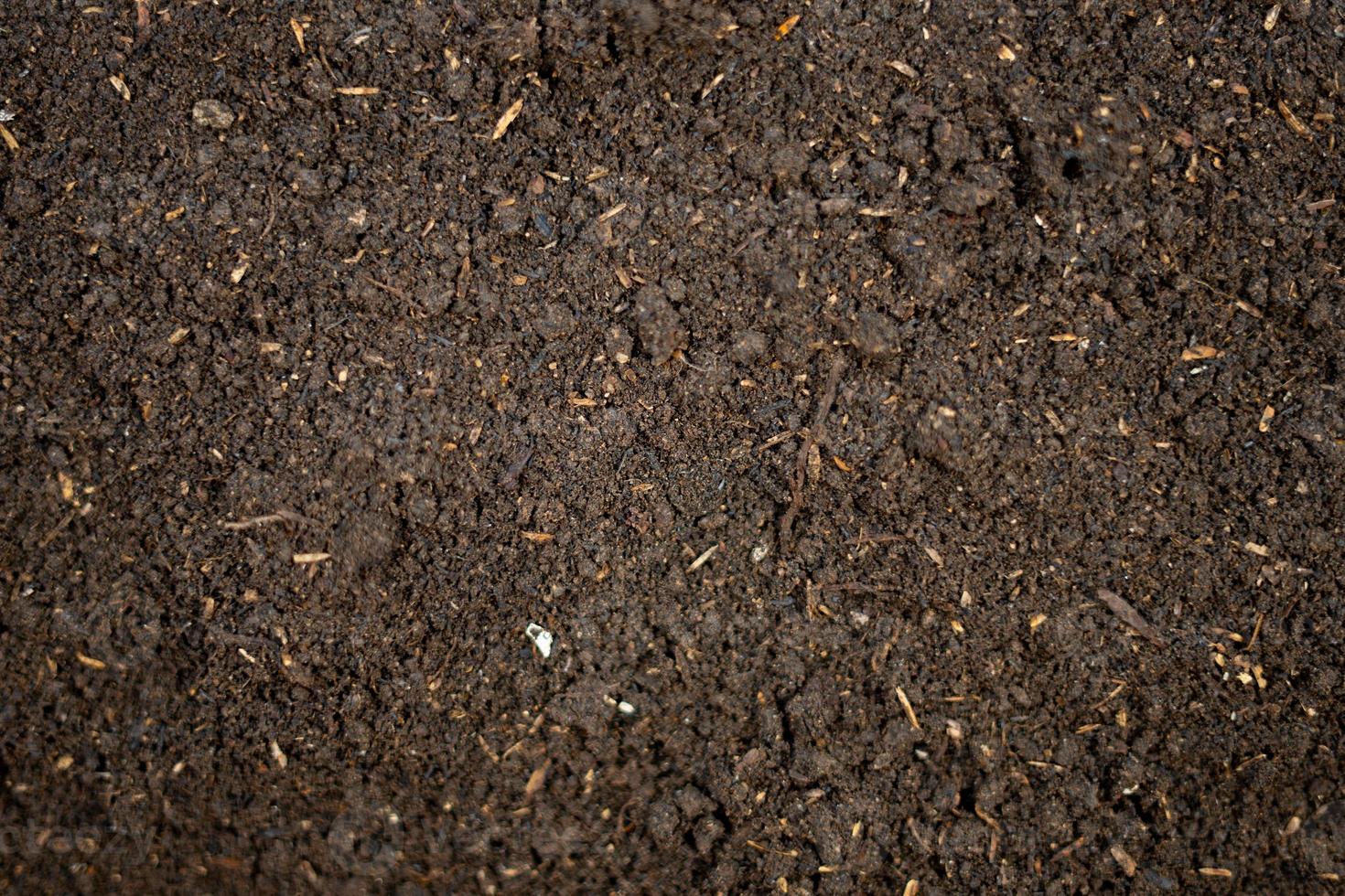 Fertile soil texture for background 20050398 Stock Photo at Vecteezy