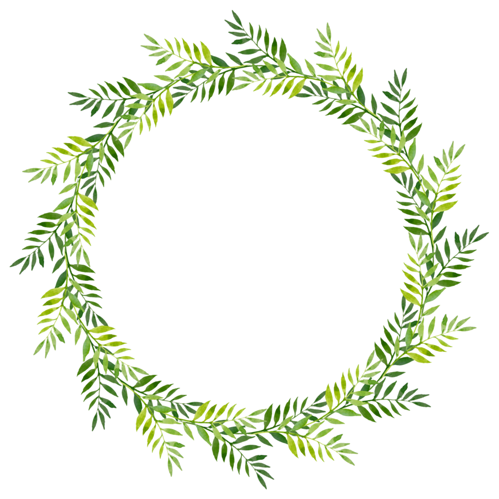 Tender wreath of grass and green leaves, watercolor illustration. Hand drawing for print, greetings, logos png