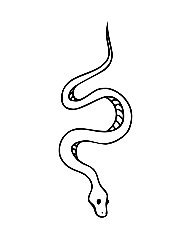 Simple Snake Outline Drawing png