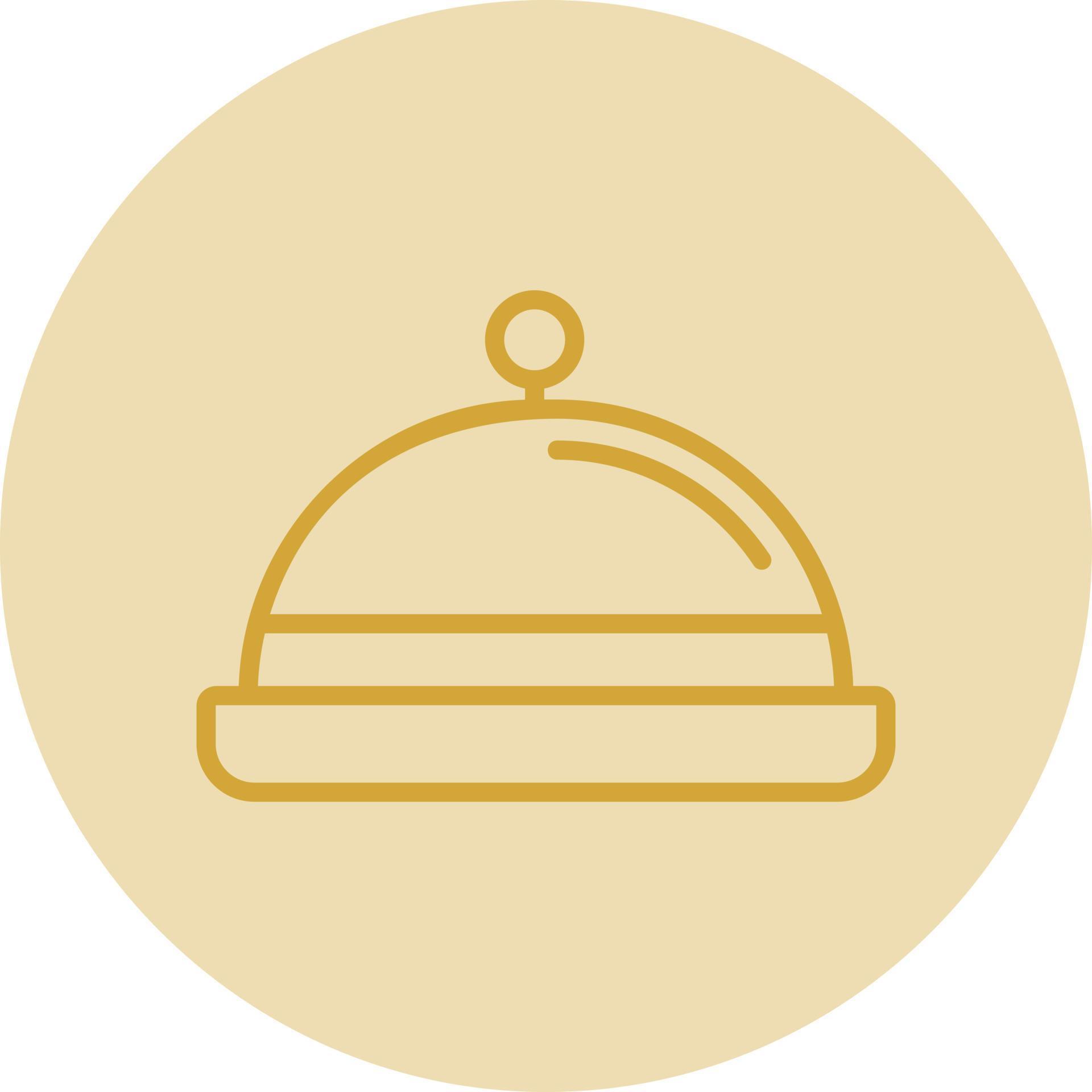 Food Tray Vector Icon Design 20053812 Vector Art at Vecteezy