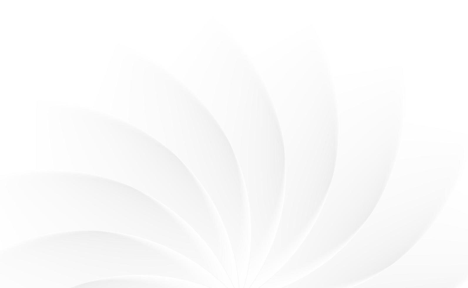 white abstract subtle gradient photo
