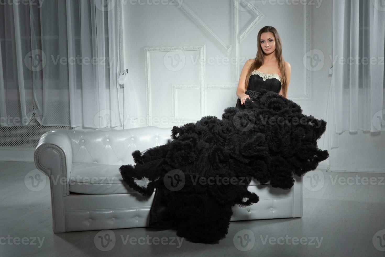 Young cute brunette posing in the studio photo