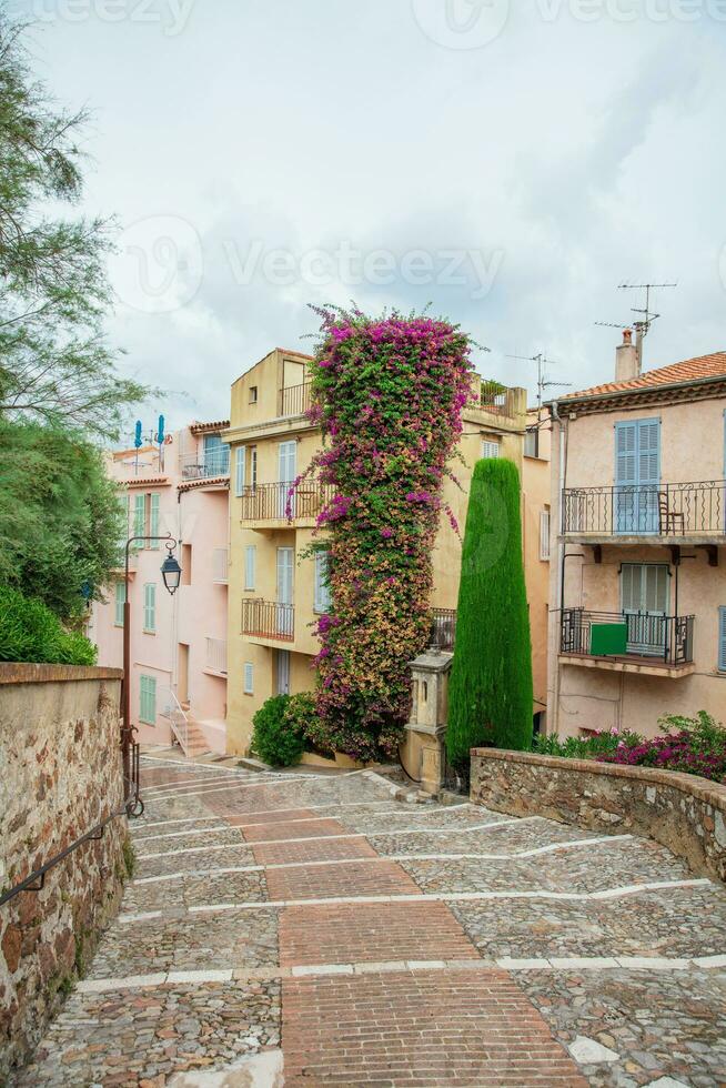 Great descent from the Le Suquet hill photo