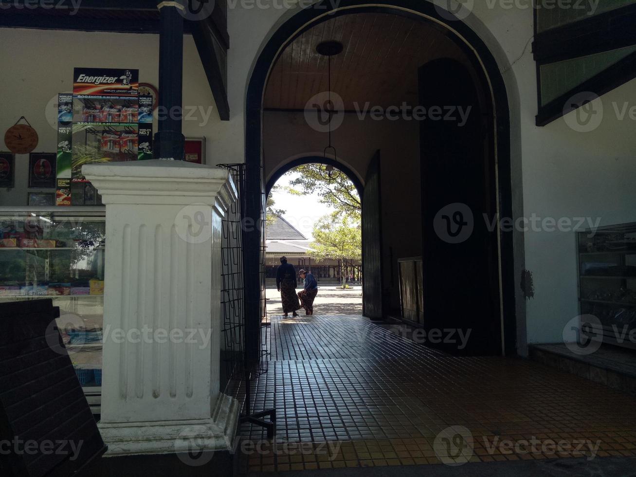 view of historic buildings in the park photo