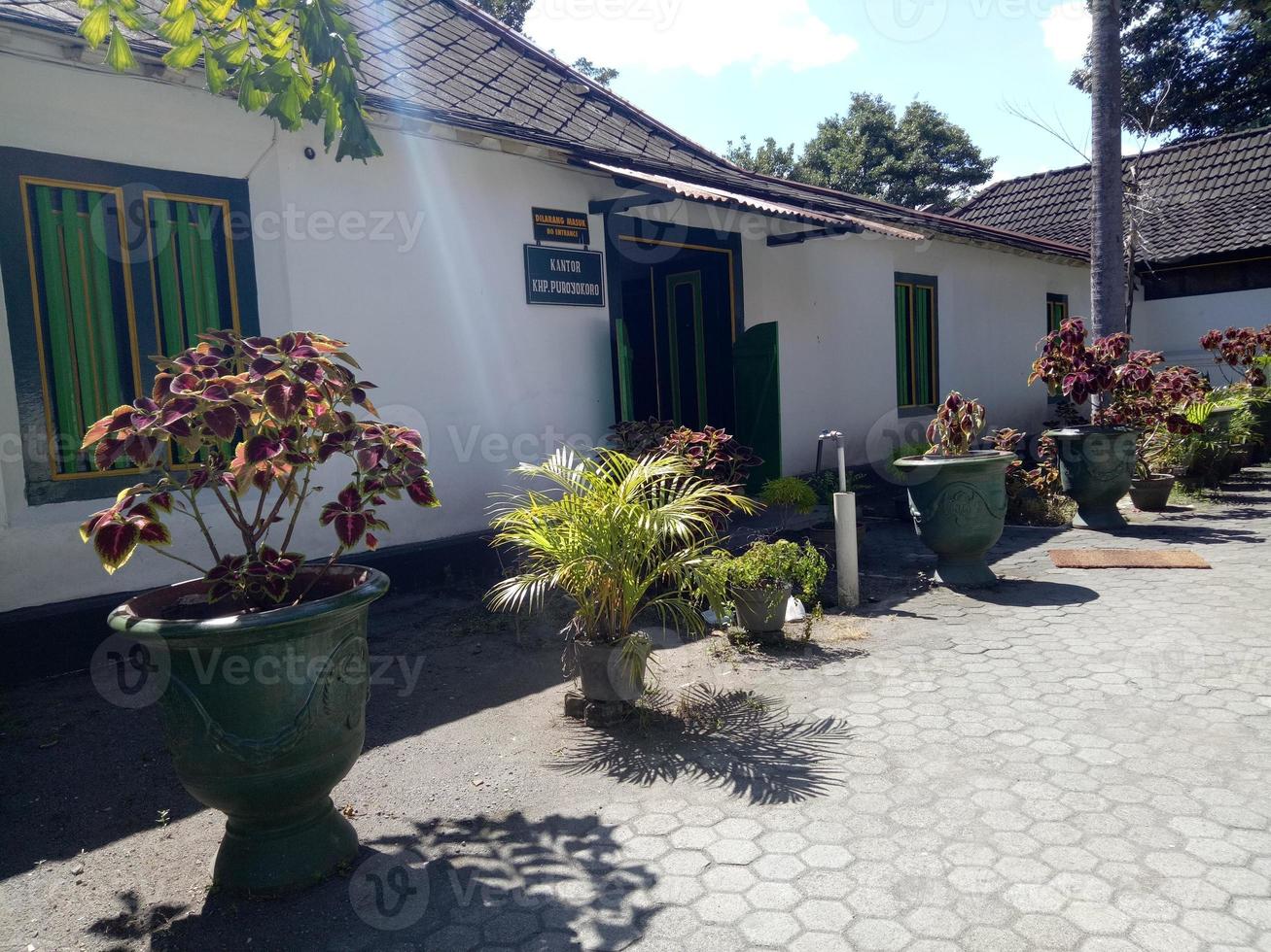 photo of house with flowers