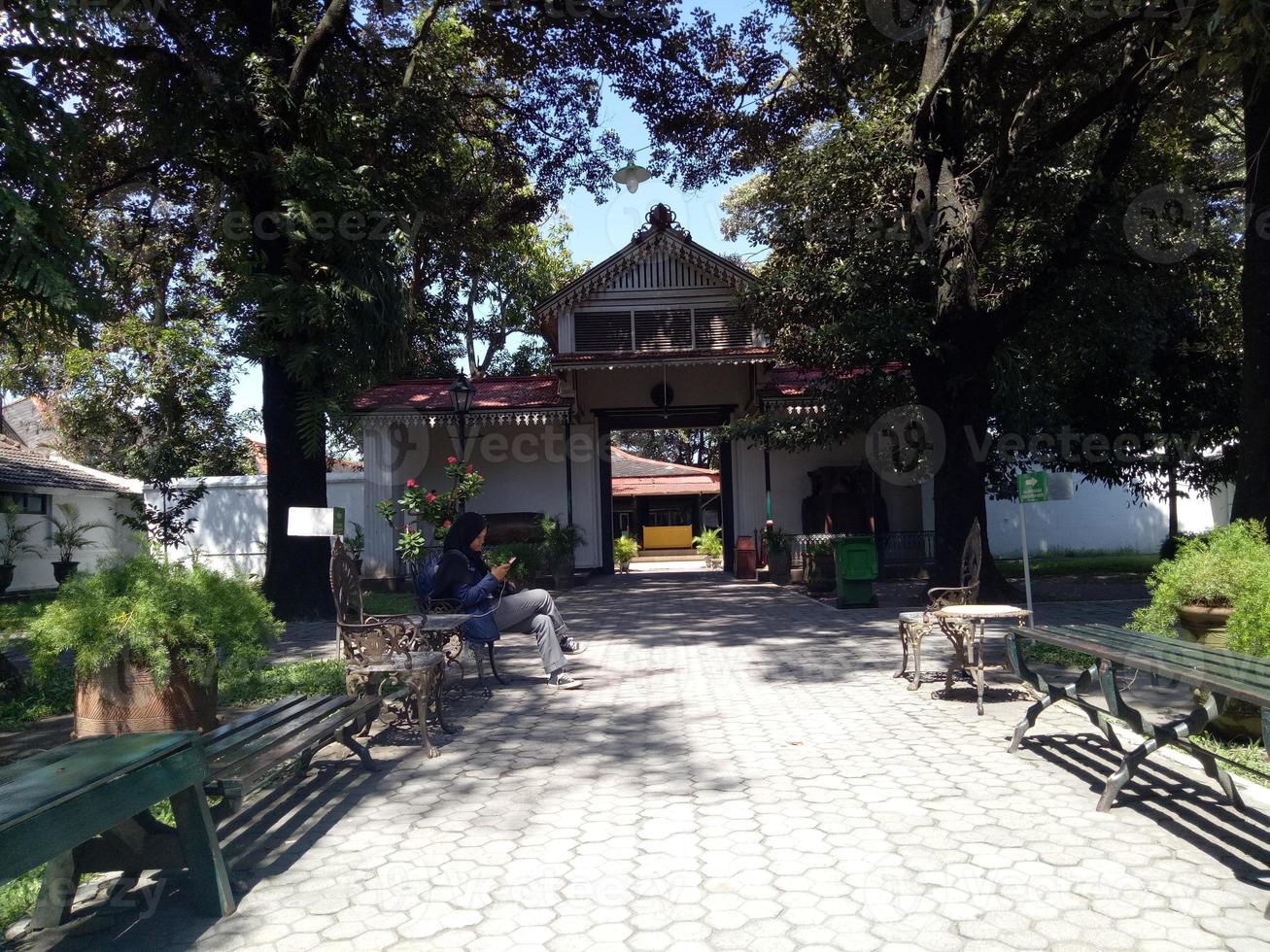 view of historic buildings in the park photo