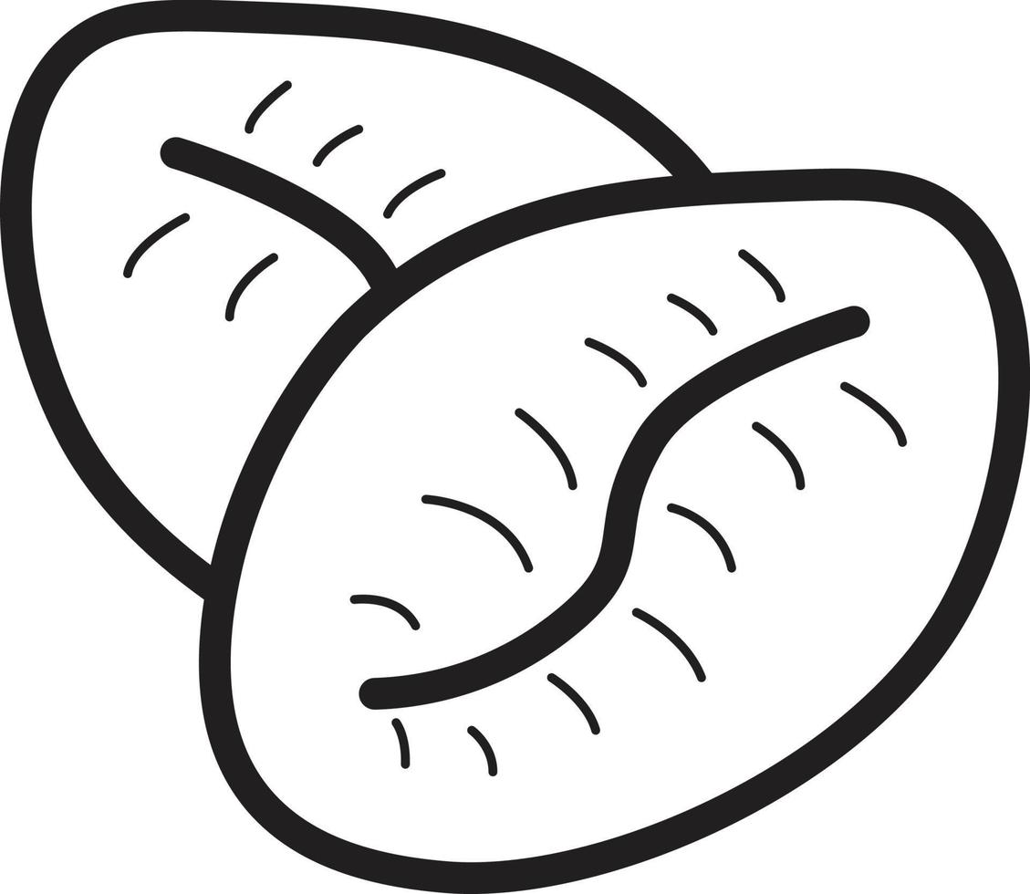 Outline Coffee bean illustration. Line art vector doodle style.