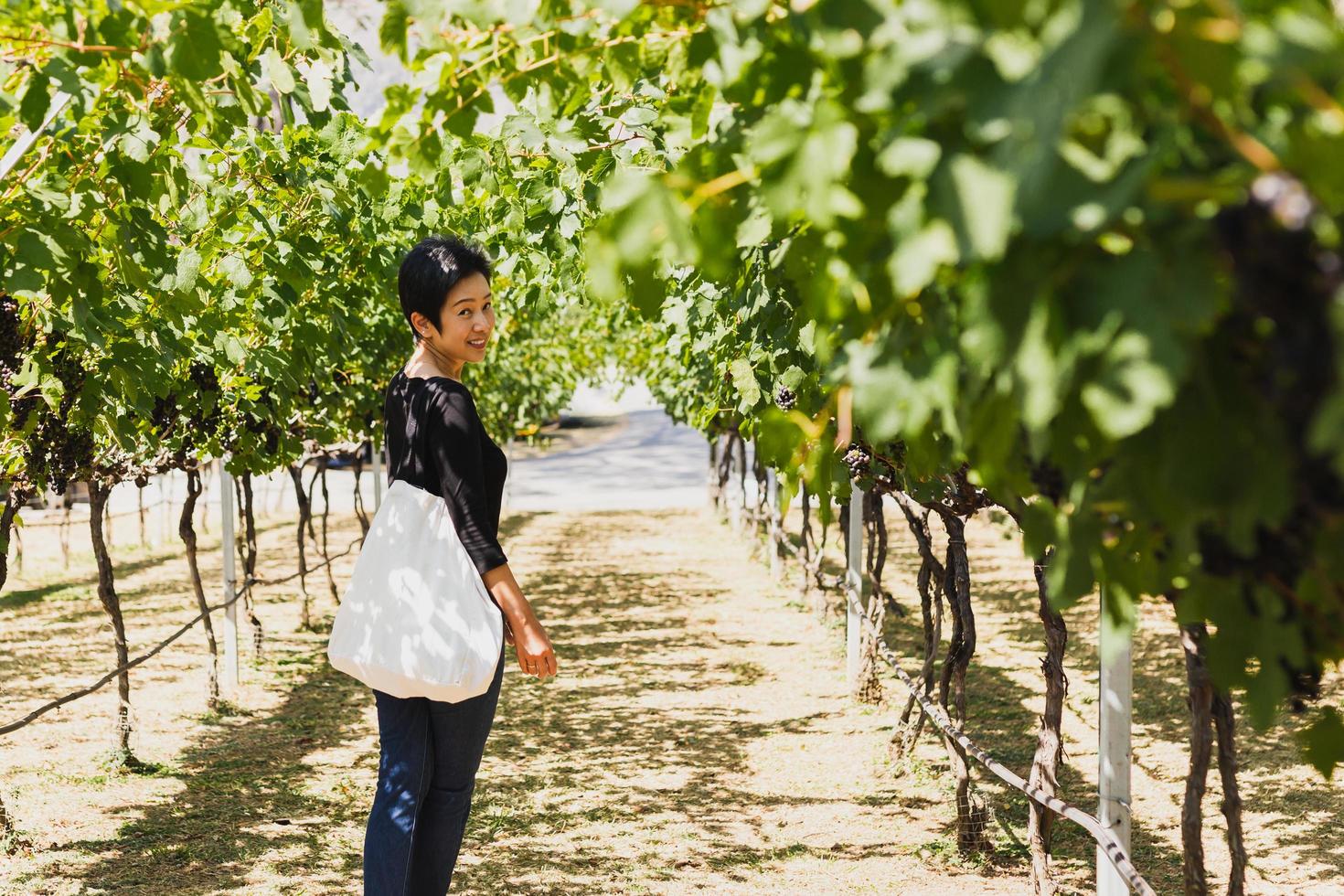 Asian woman traveling Asian standing in beautiful Vineyard. photo