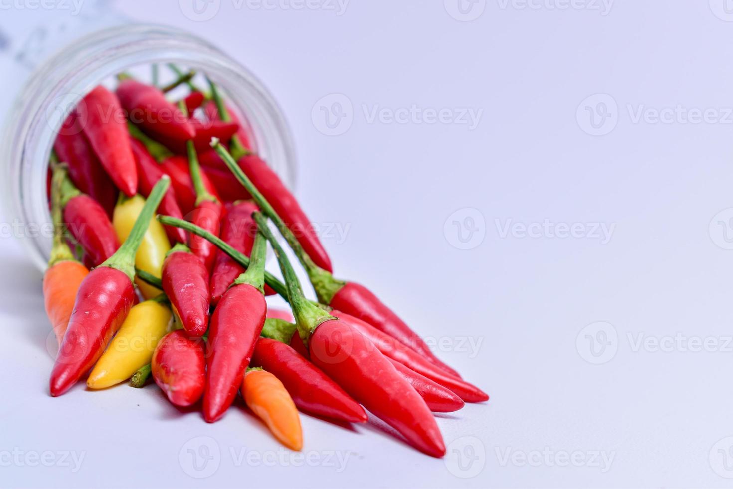 chilli pepper in the white backgound with macro and close up view photo