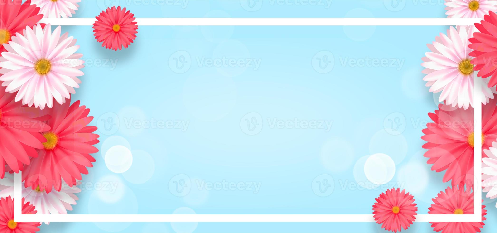 floral plant blue spring flower background photo