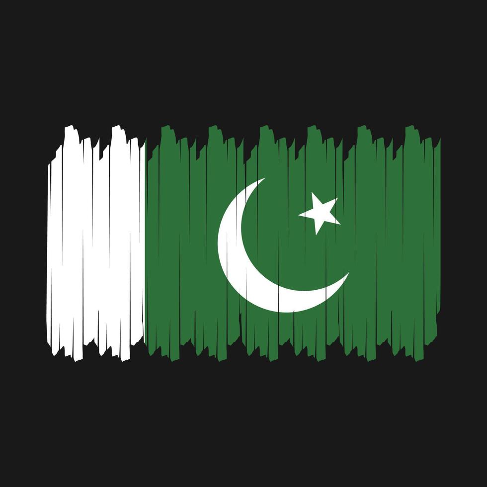 vector de pincel de bandera de pakistán