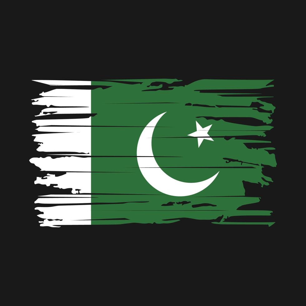Pakistan Flag Brush Vector
