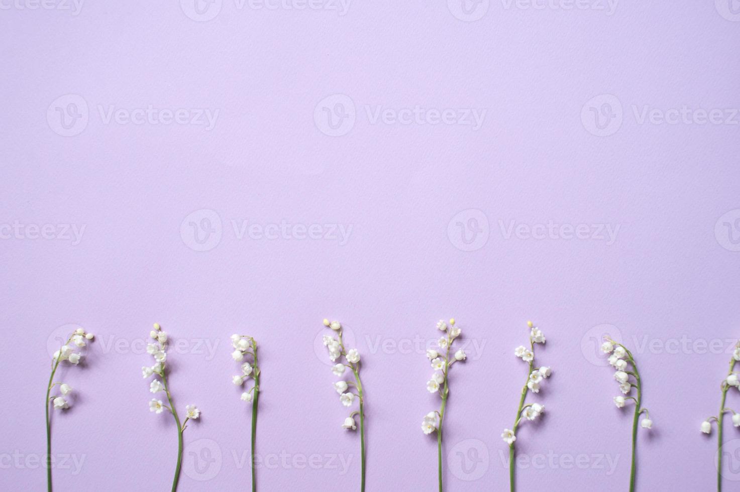 Twigs of lily of the valley flowers lie on a lilac background photo