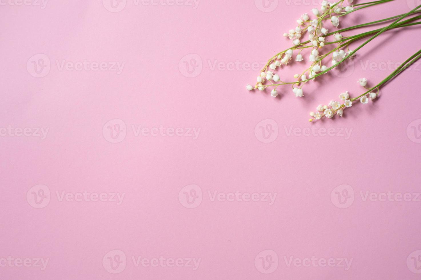 Twigs of lily of the valley flowers lie on a pink background photo