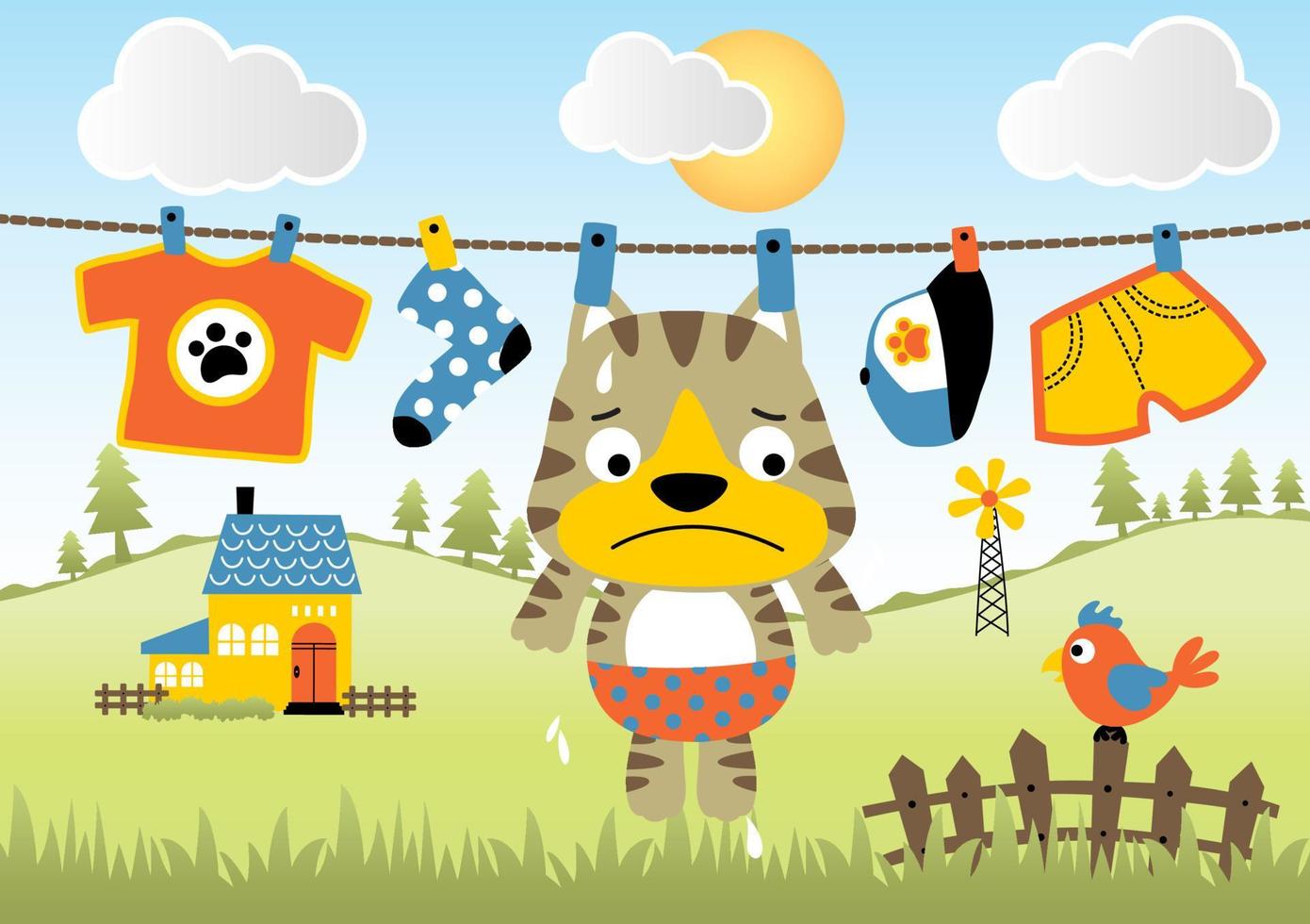 Cute kitten with clothes hanging in clothesline on rural scene background, bird on fence, vector cartoon illustration