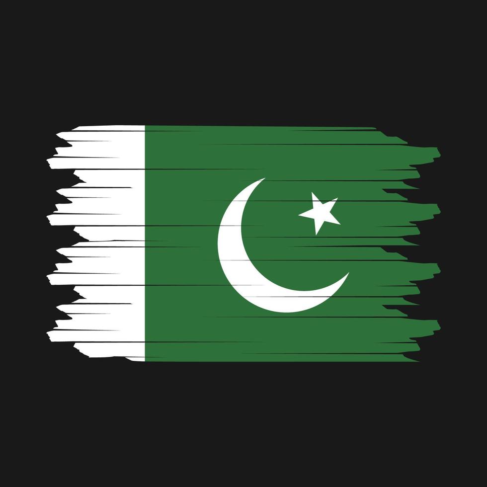 Pakistan Flag Brush Vector