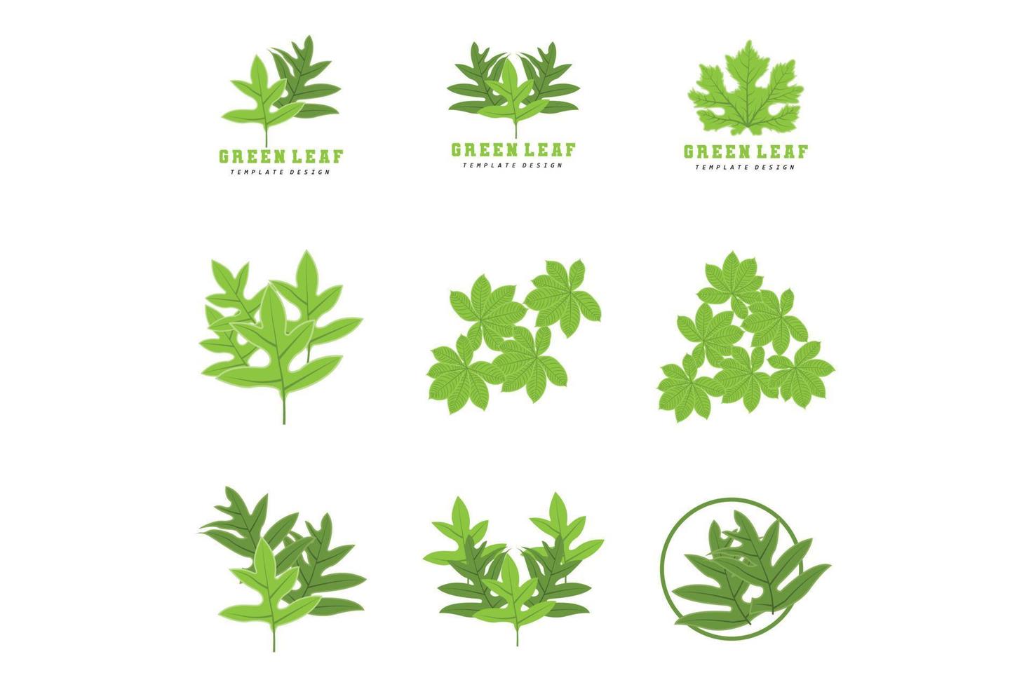 Leaf Lines logo design, Background Icons Artwork Artwork Colors pAstel vector