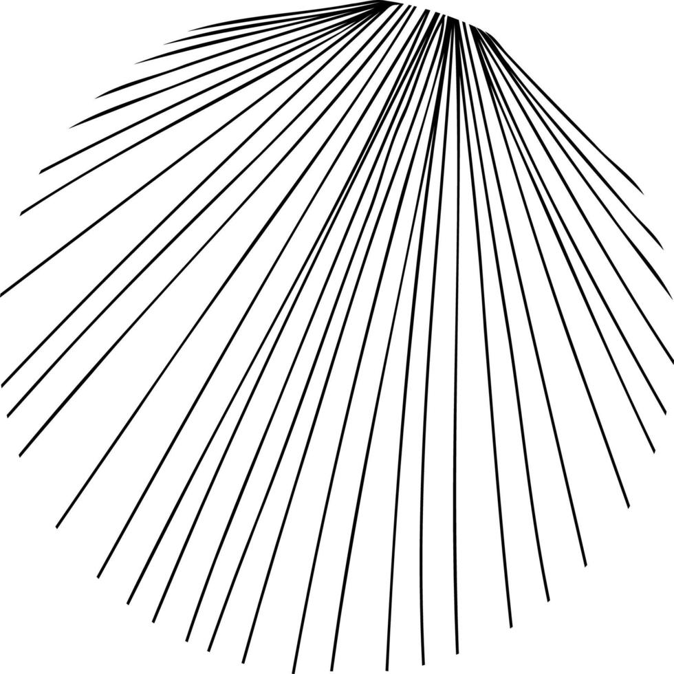 round linear  background vector