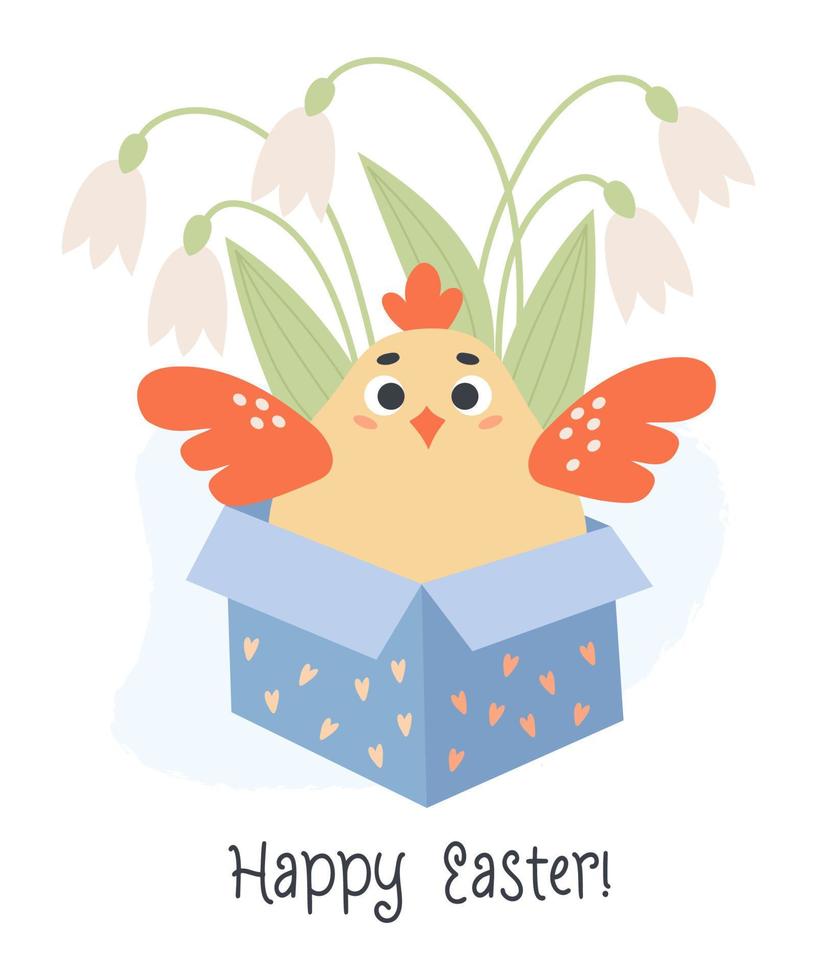 Cute chicken in gift box with bouquet of spring flowers snowdrops. Happy Easter greeting card. Vector illustration in cartoon flat style.