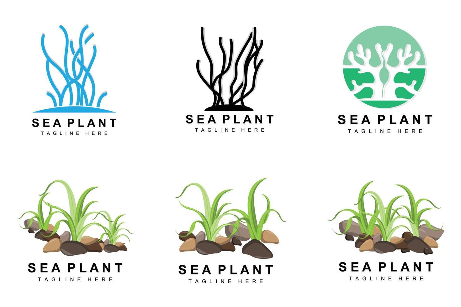 Seaweed Logo, Sea Plants Vector Design, Grocery And Nature Protection