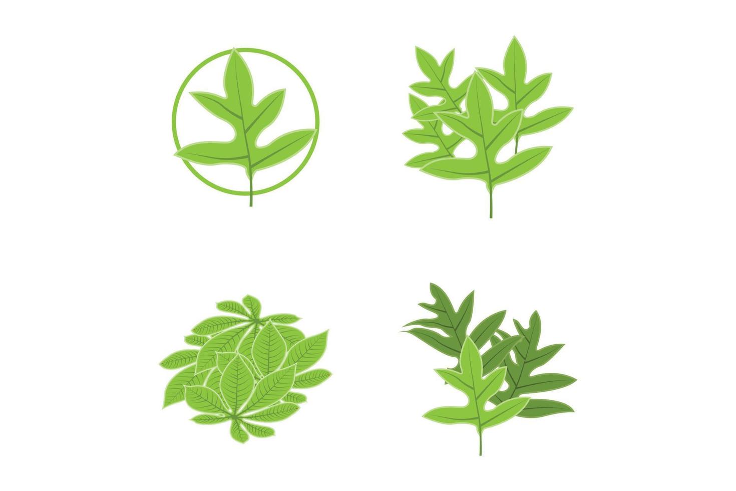 Leaf Lines logo design, Background Icons Artwork Artwork Colors pAstel vector