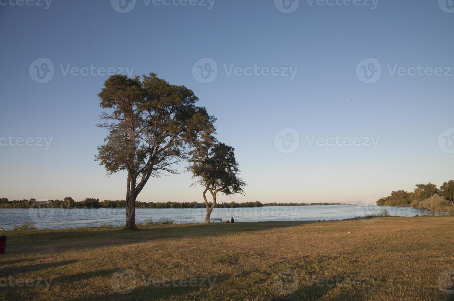 dos arboles en el río banco a puesta de sol foto