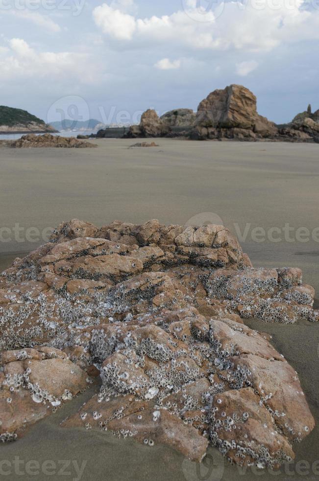 Rocks with barnacles on the quiet beach photo