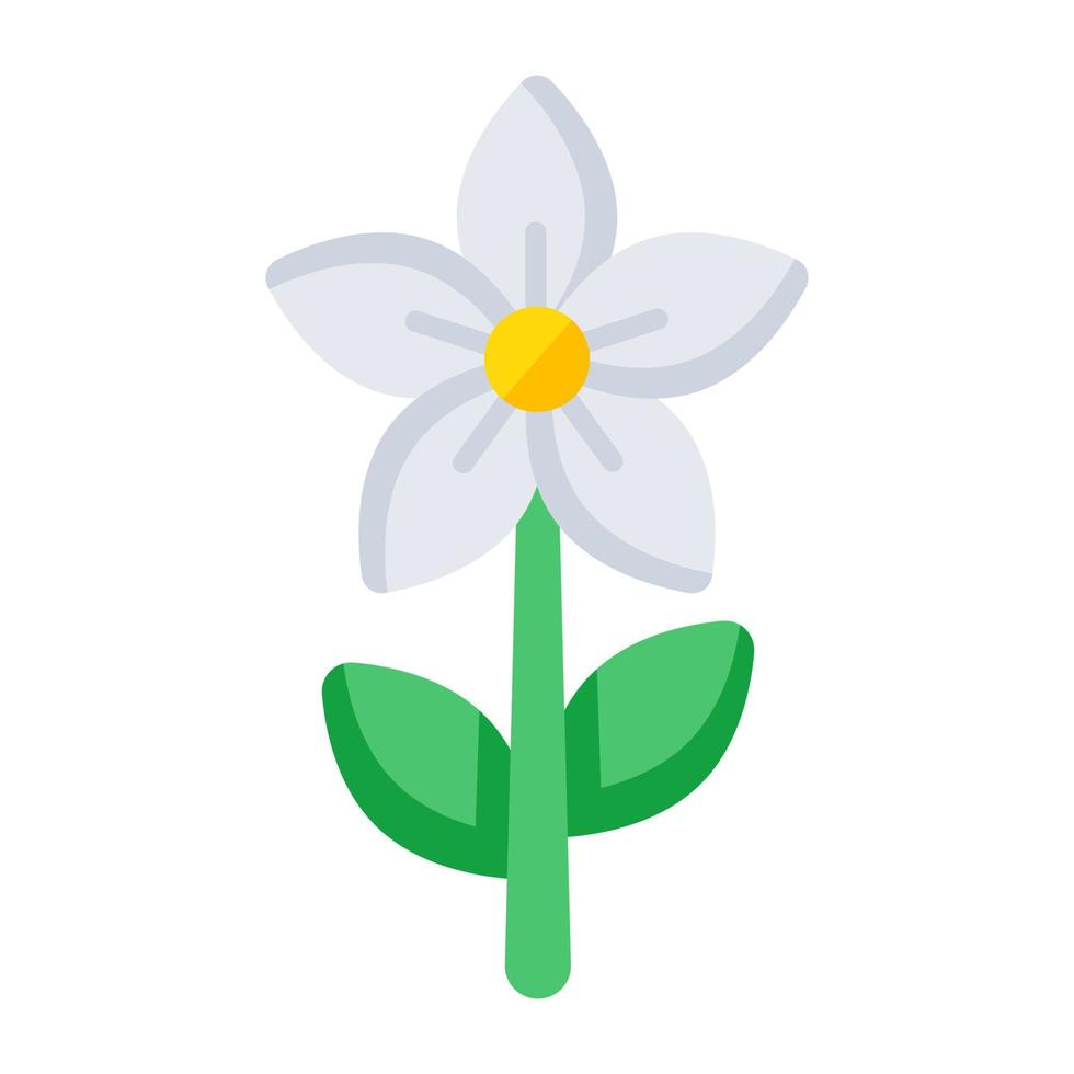 un hermosa diseño icono de jazmín flor vector