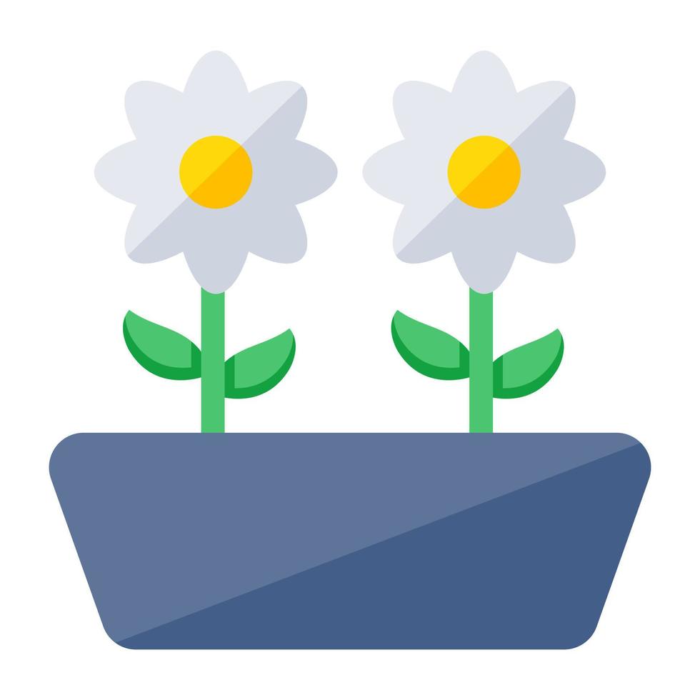 Trendy flat design icon of daisy flowers vector
