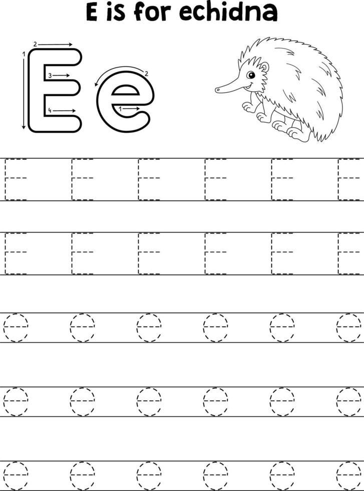 Echidna Animal Tracing Letter ABC Coloring Page E vector