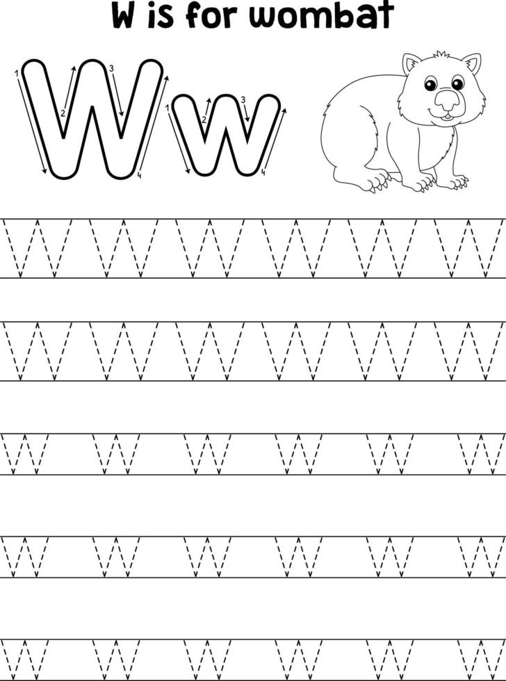 Wombat Animal Tracing Letter ABC Coloring Page W vector