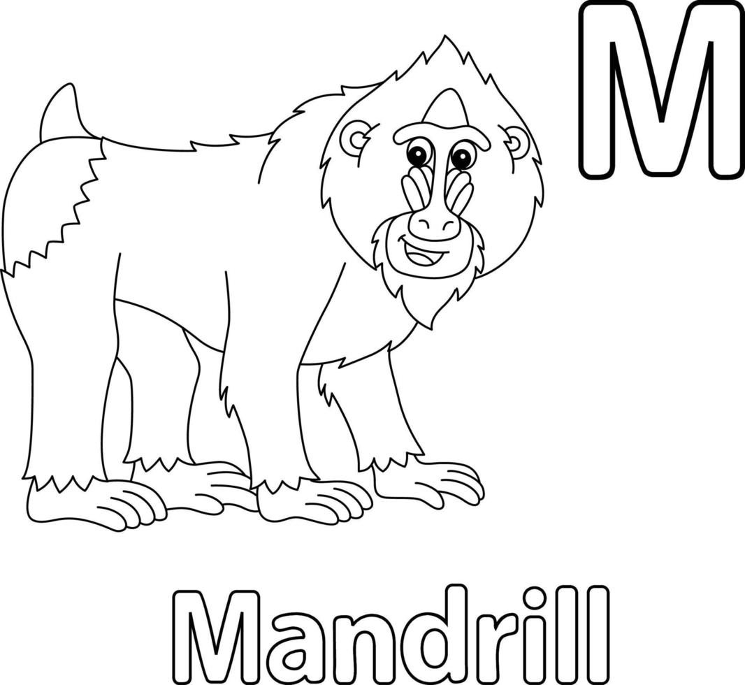 Mandrill Alphabet ABC Isolated Coloring Page M vector