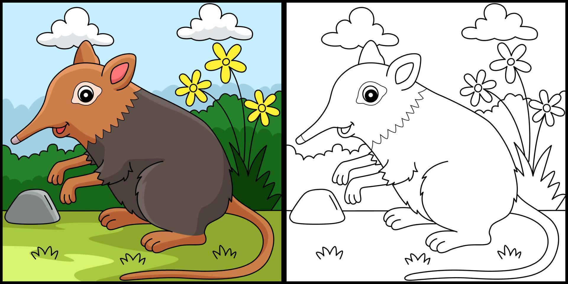 Elephant Shrew Animal Coloring Page Illustration vector