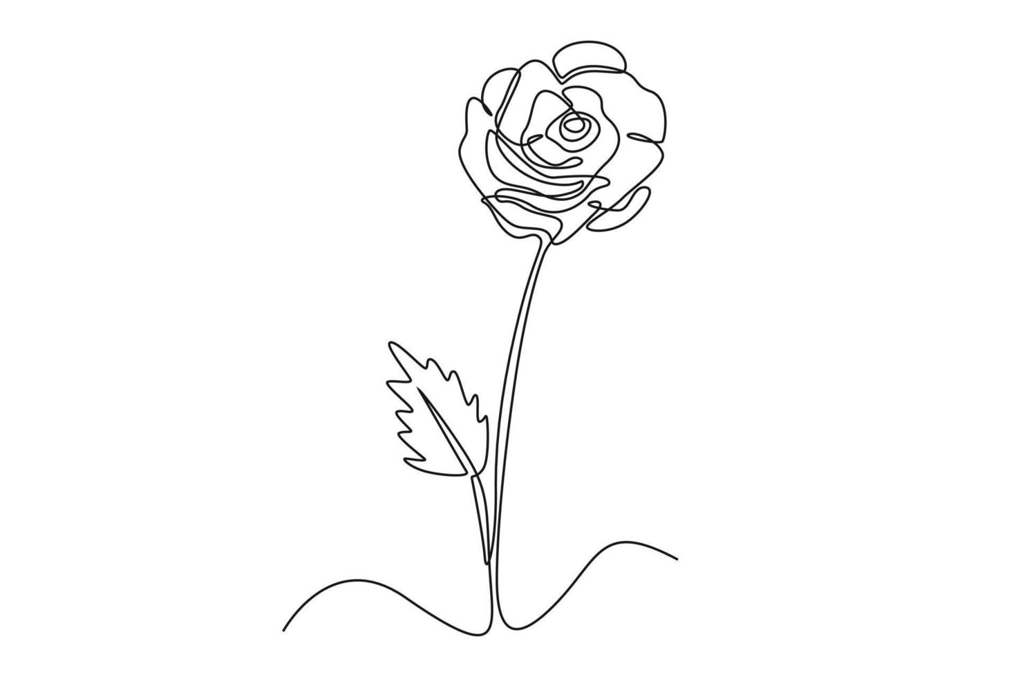 Single one line drawing Rose flower. Beautiful flower concept. Continuous line draw design graphic vector illustration.