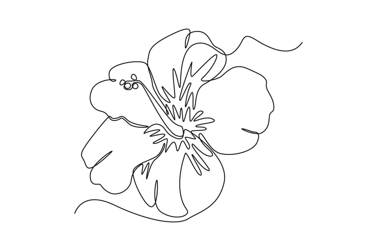Single one line drawing Hibiscus Flower. Beautiful flower concept. Continuous line draw design graphic vector illustration.