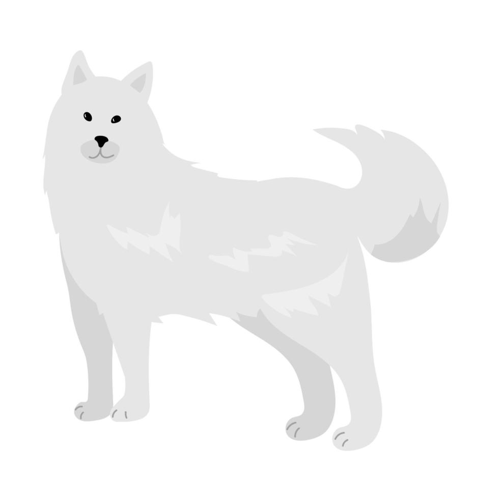 An illustration depicting Samoyed dog cartoon. vector isolated