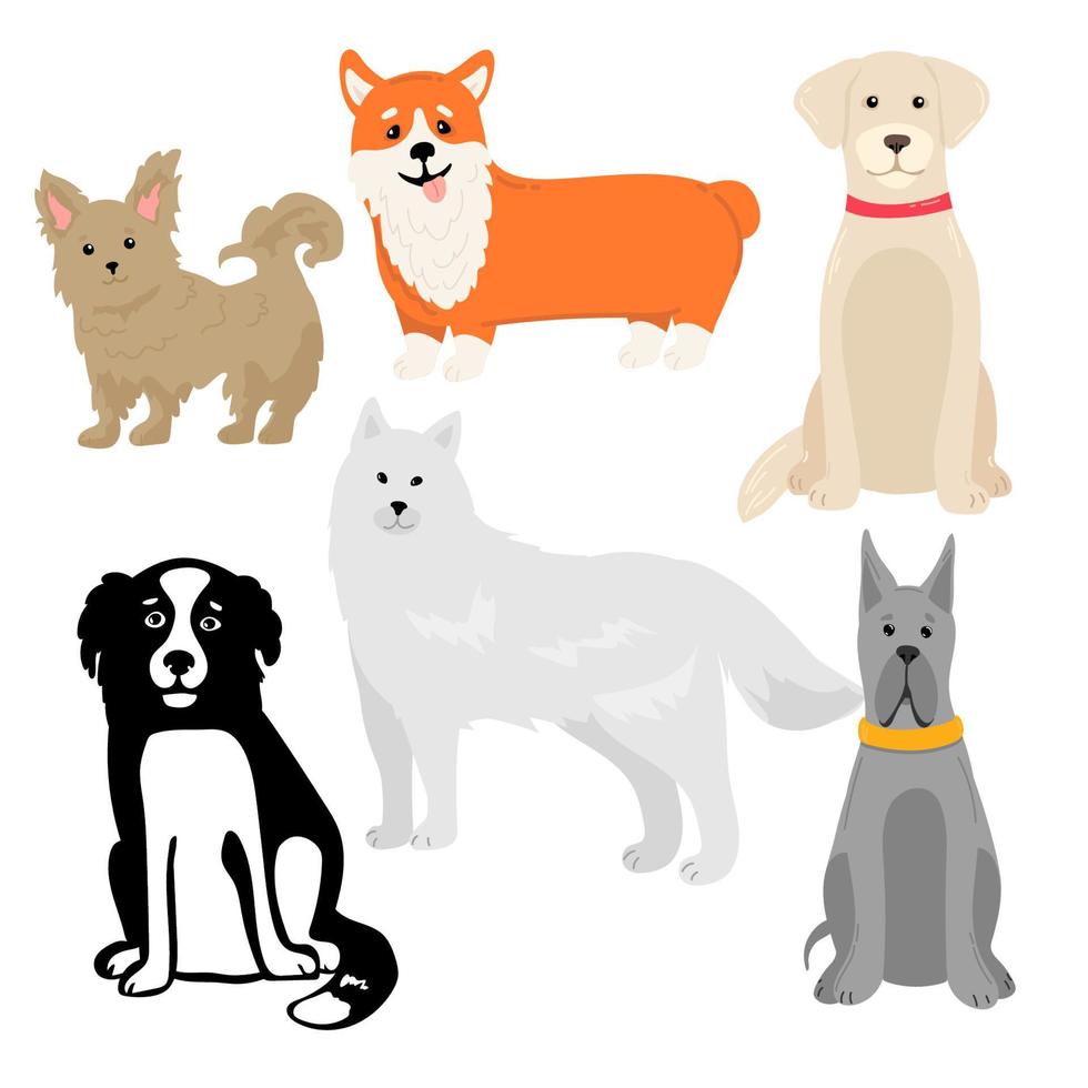 Dogs collection. Vector illustration of funny cartoon different breeds dogs in trendy flat style. Isolated on white.