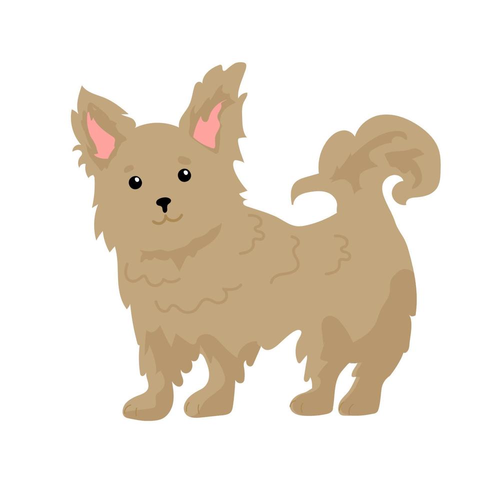 Yorkshire terrier perrito vector ilustración. perro aislado,