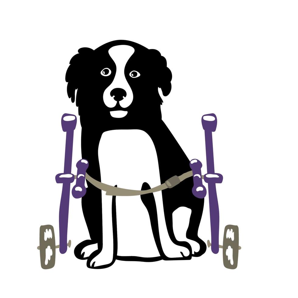 Dog in a wheelchair for the hind paws. Vector illustration in a flat style
