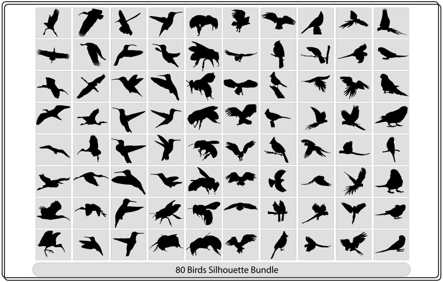 Collection of different birds silhouettes   position. vector