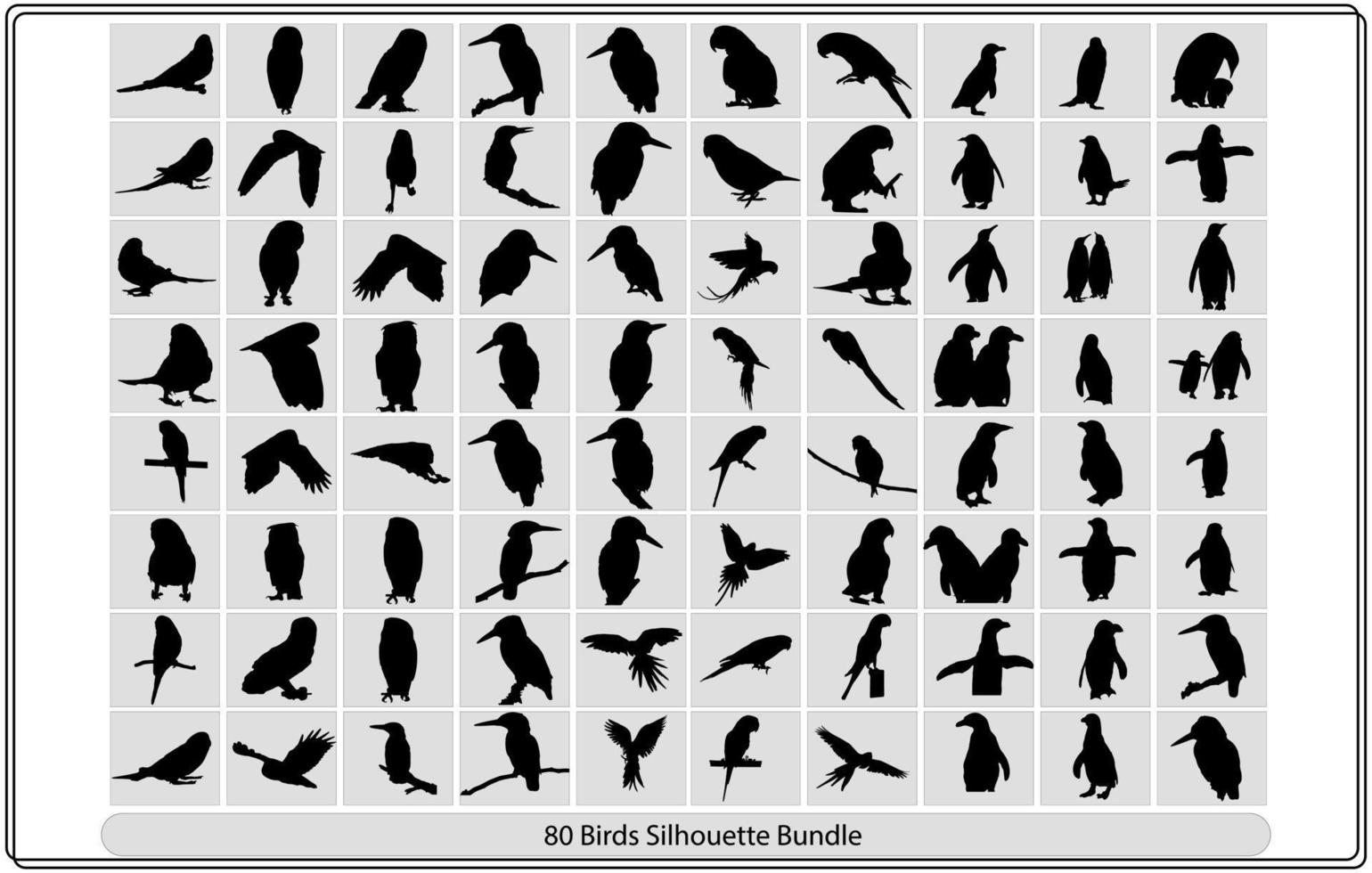 Collection of different birds silhouettes   position. vector