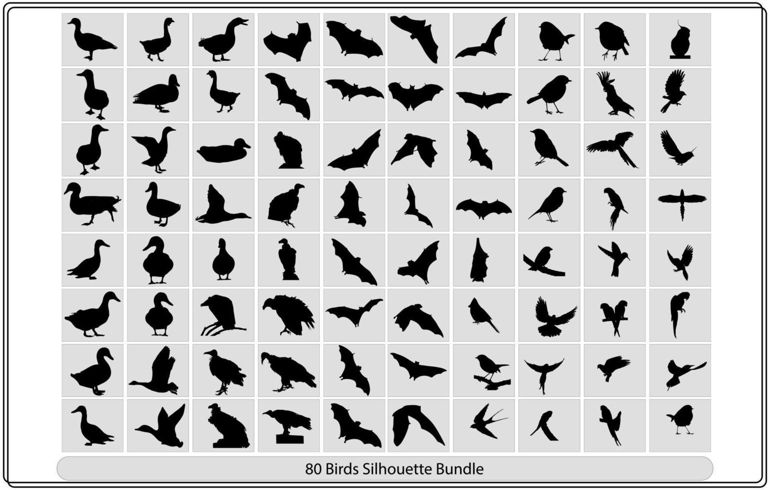 Collection of different birds silhouettes   position. vector