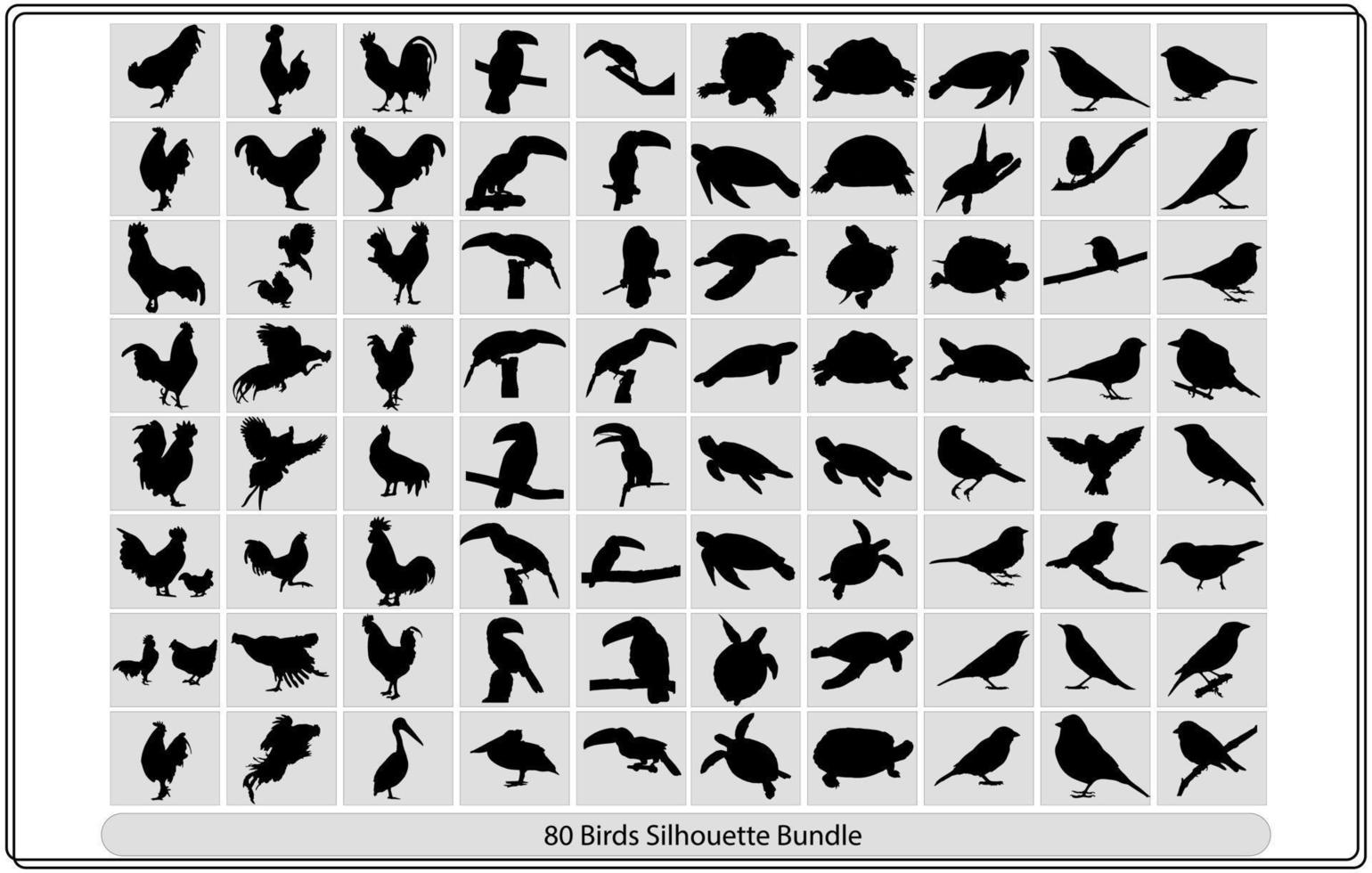colección de diferente aves siluetas posición. vector