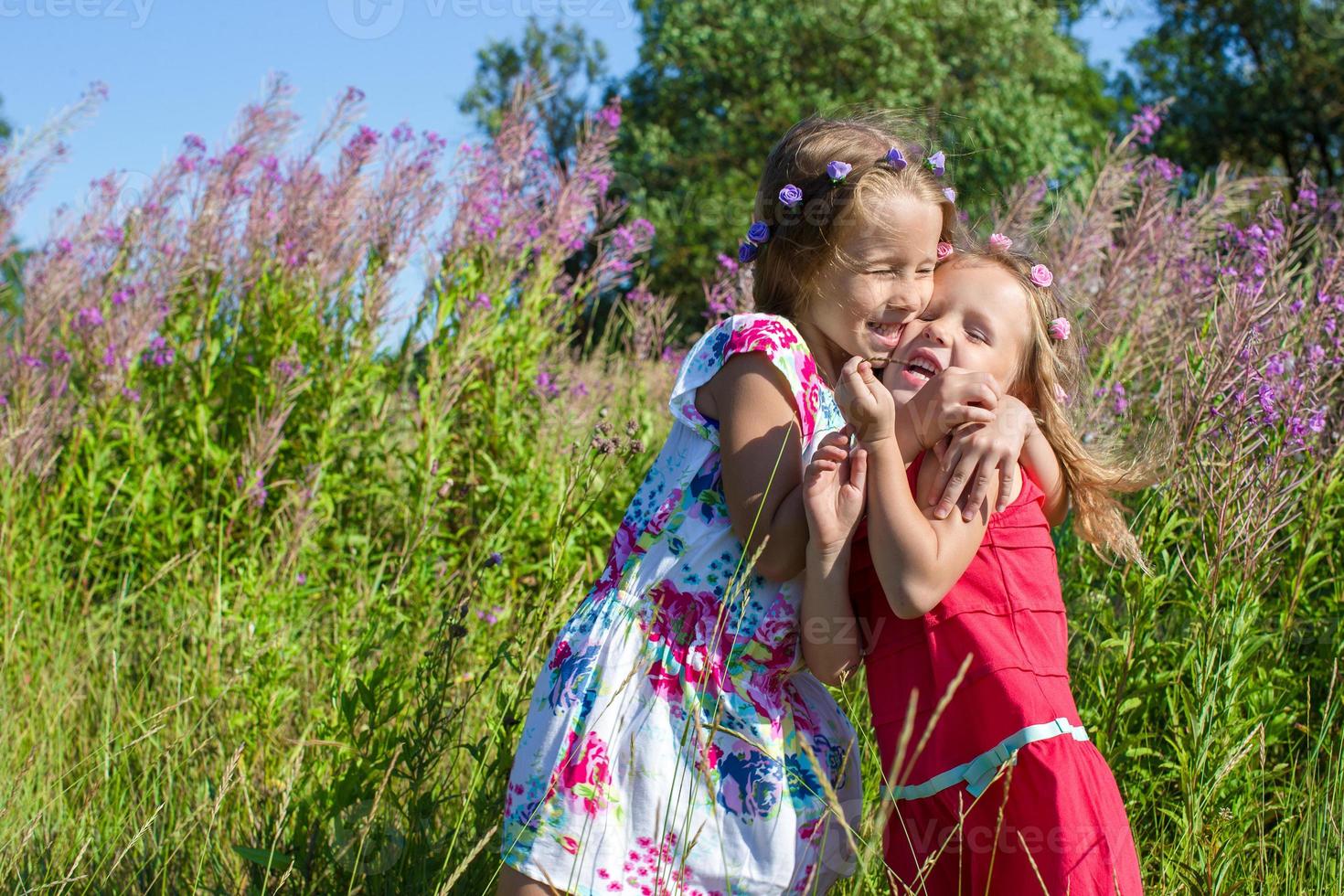 Little sisters having fun outdoors on the meadow photo