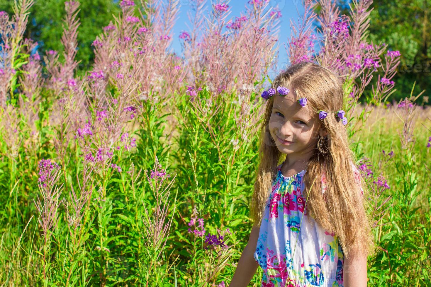 Cute young girl on the meadow photo