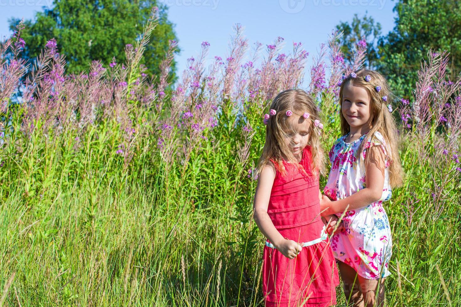 Little sisters having fun outdoors on the meadow photo