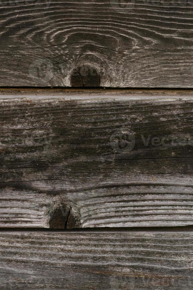 The background texture of the wall is made of gray old wooden boards. Close-up. photo